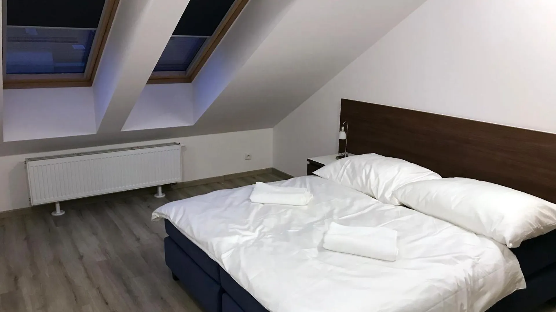 Valentine'S National Museum Apartments Prag Tjeckien